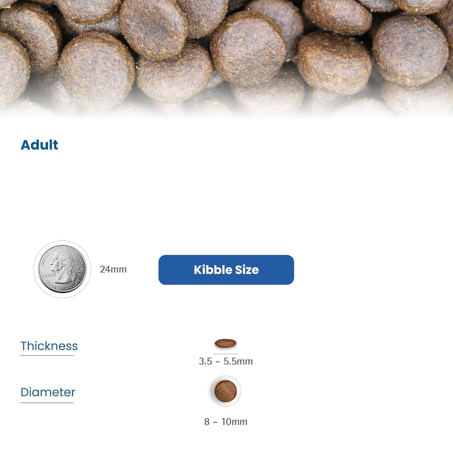 N&D OC COD ADU MAXI GF DRY FOOD [12 KG] - Animeal