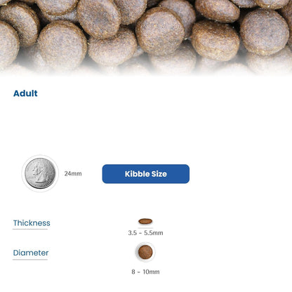 N&D OC COD ADU MAXI GF DRY FOOD [12 KG] - Animeal