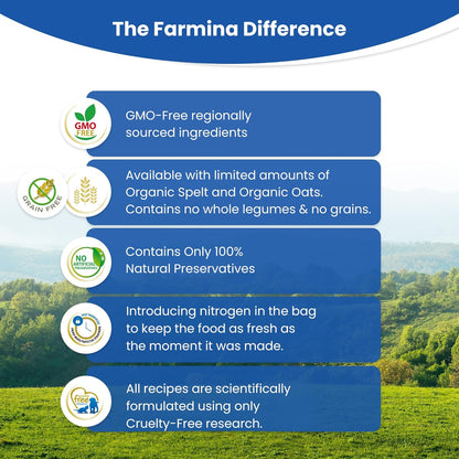 N&D OC COD ADU MAXI GF DRY FOOD [12 KG] - Animeal