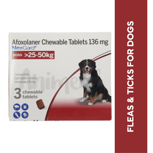 NEXGARD (25-50KG) DOG TABLET 3TAB Upto 15% Off Animeal