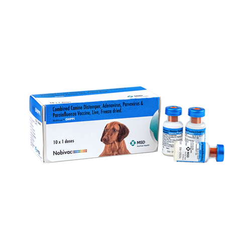 NOBIVAC DHPPI - Animeal