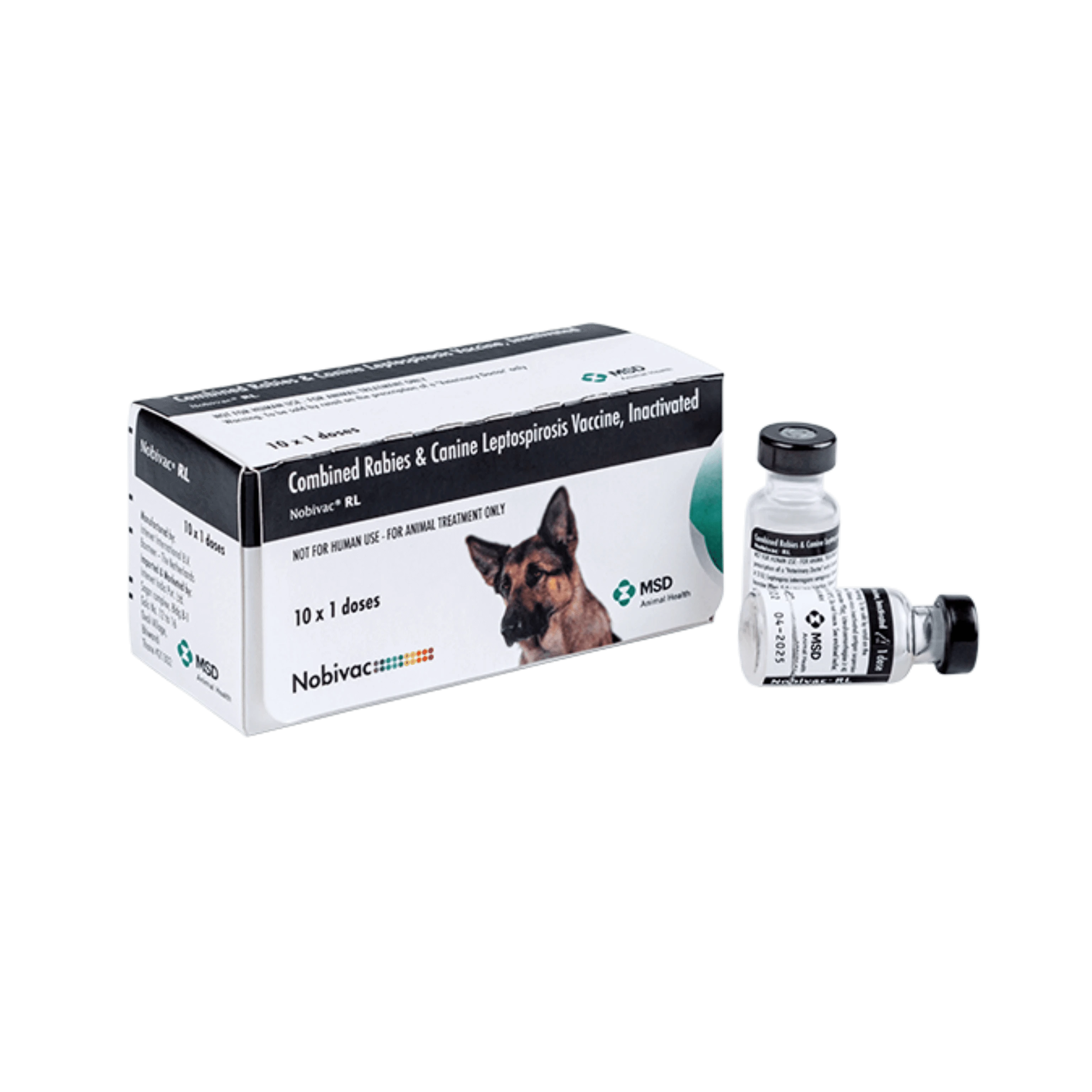 Msd When Can Puppies Get Parvo Vaccine MSD NOBIVAC PUPPY DP 10 X 1d
