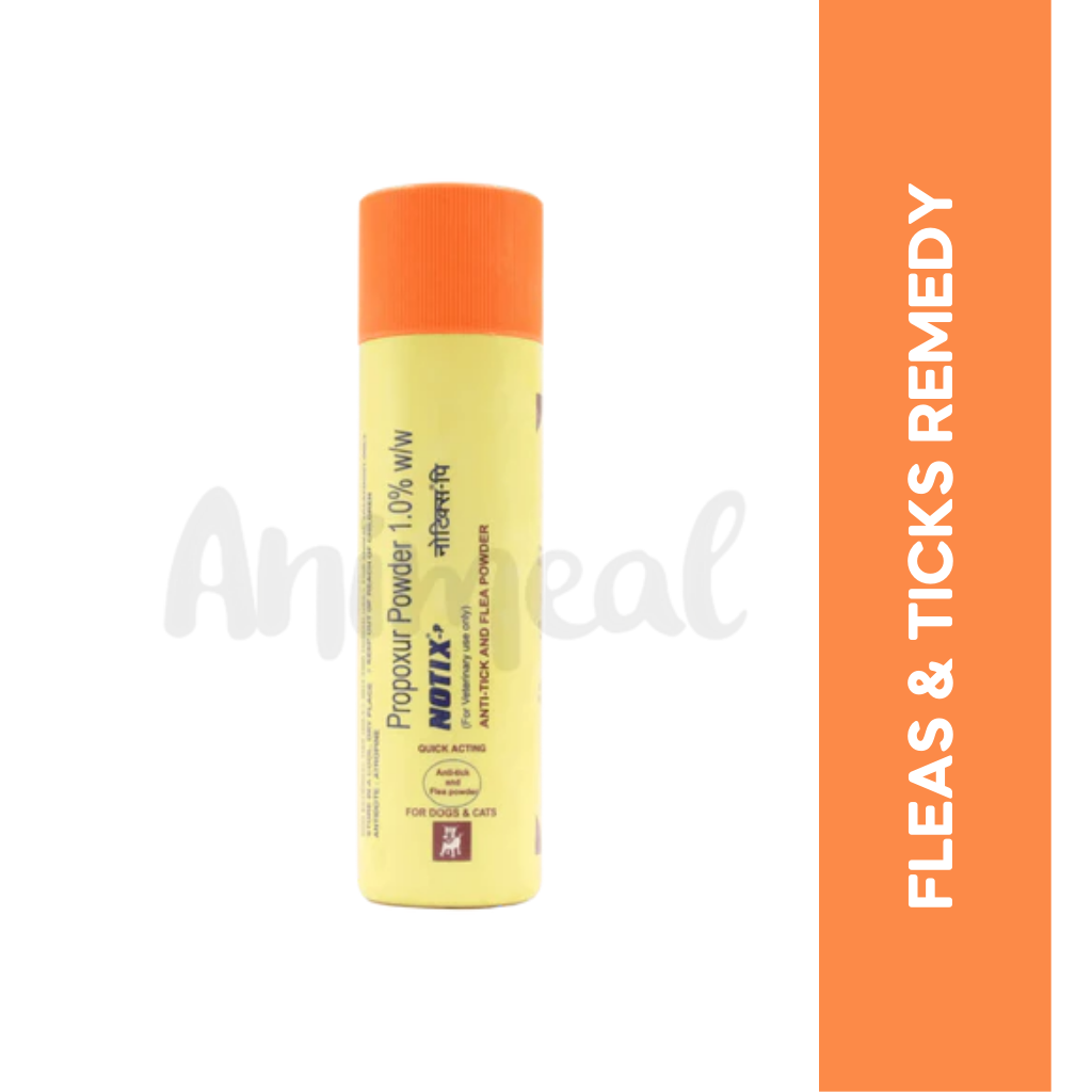Animeal