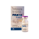 PAN IV 40 INJ