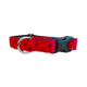 PG COLLAR ANCHOR RED (M)
