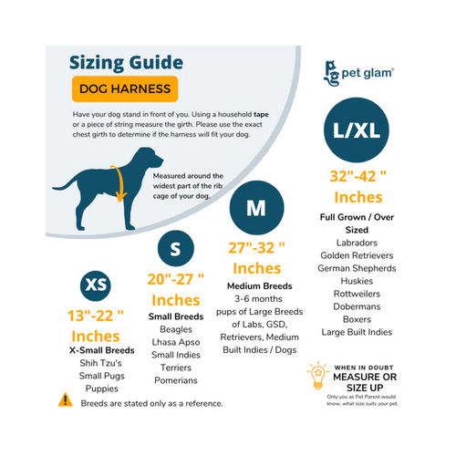 PG DOG HARNESS ALPINE (M) - Animeal
