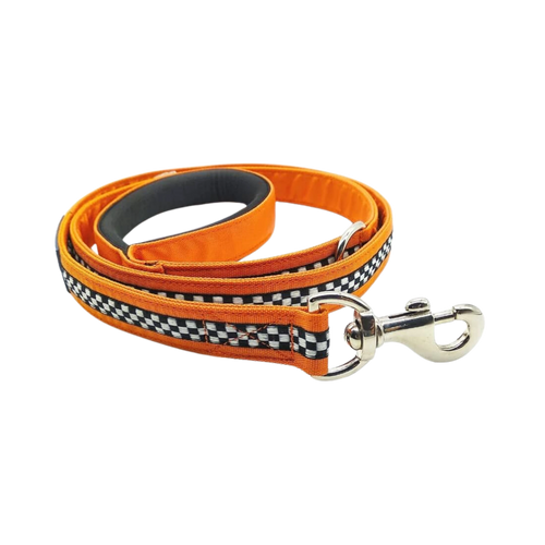 PG DOG LEASH IGNITE (L) - Animeal