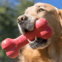 PG KONG PUPPY GOODIES BONE (S) - Animeal