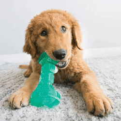 PG KONG SQUEEZZ DENTAL BONE (M) - Animeal