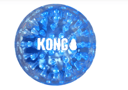 PG KONG SQUEEZZ GEODZ TOY (L) - Animeal