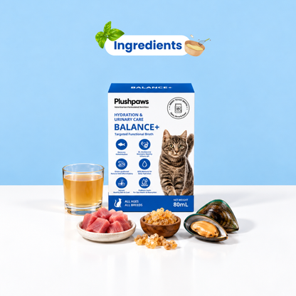 PLUSHPAWS BALANCE+ HYDRATION & URINARY CARE BROTH FOR CATS [80 ML] - Animeal