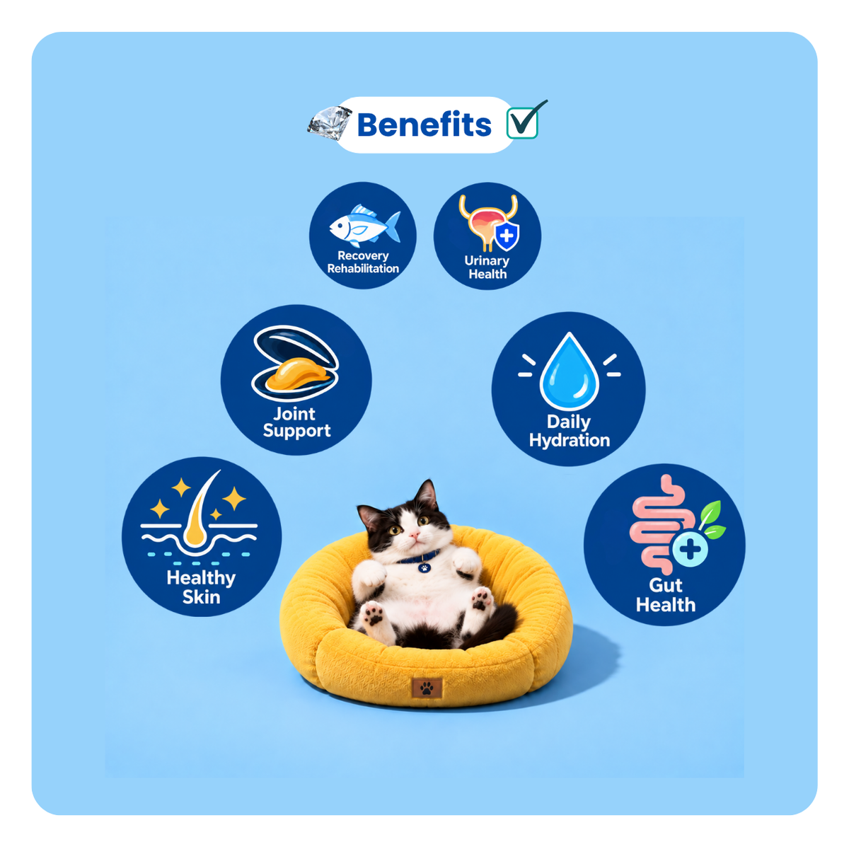 PLUSHPAWS BALANCE+ HYDRATION & URINARY CARE BROTH FOR CATS [80 ML] - Animeal