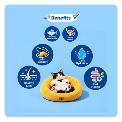 PLUSHPAWS BALANCE+ HYDRATION & URINARY CARE BROTH FOR CATS [80 ML] - Animeal