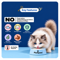 PLUSHPAWS BALANCE+ HYDRATION & URINARY CARE BROTH FOR CATS [80 ML] - Animeal