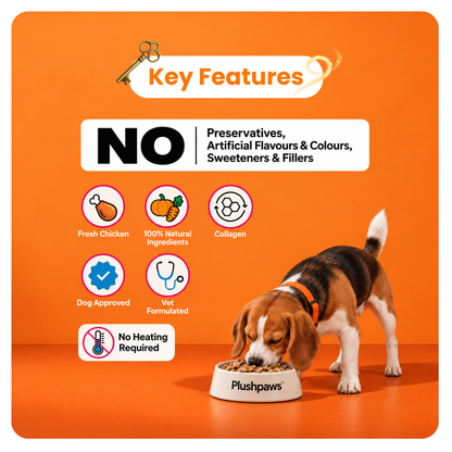 PLUSHPAWS CHICKEN BIRYANI WITH COLLAGEN WET DOG FOOD [100 GM] - Animeal