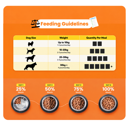 PLUSHPAWS CHICKEN BIRYANI WITH COLLAGEN WET DOG FOOD [100 GM] - Animeal