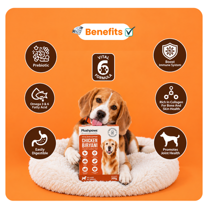 PLUSHPAWS CHICKEN BIRYANI WITH COLLAGEN WET DOG FOOD [100 GM] - Animeal