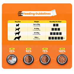 PLUSHPAWS CHICKEN BIRYANI WITH COLLAGEN WET DOG FOOD [300 GM] - Animeal