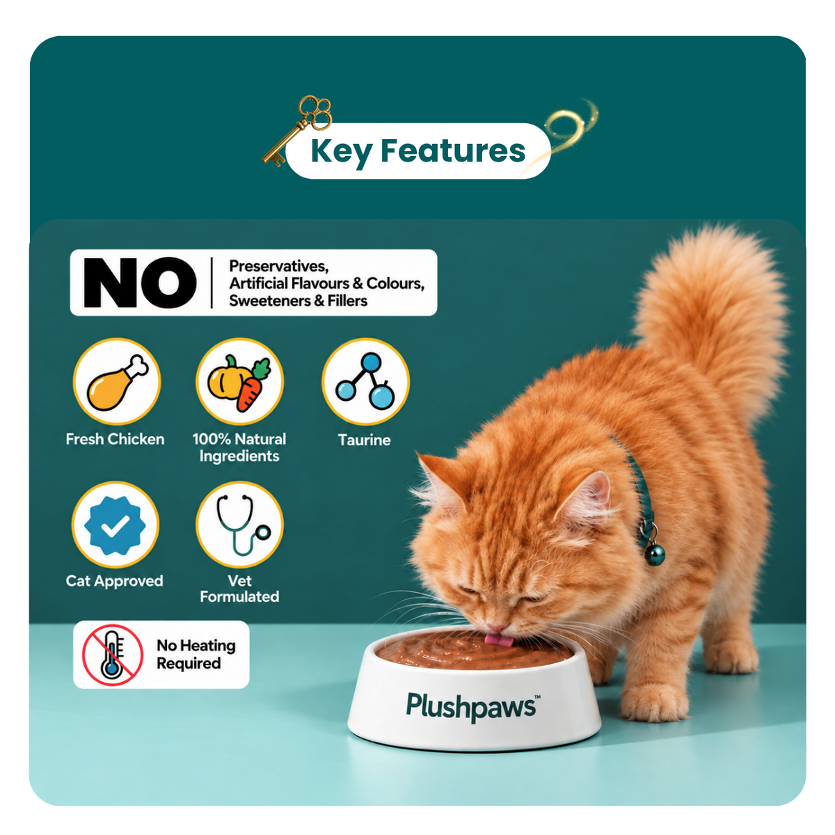 PLUSHPAWS CHICKEN KORMA SKIN & COAT WET CAT FOOD [80 GM] - Animeal