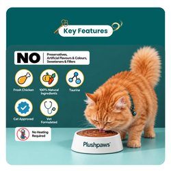 PLUSHPAWS CHICKEN KORMA SKIN & COAT WET CAT FOOD [80 GM] - Animeal