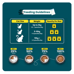 PLUSHPAWS CHICKEN KORMA SKIN & COAT WET CAT FOOD [80 GM] - Animeal