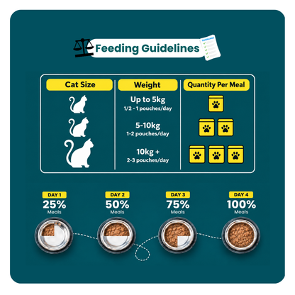 PLUSHPAWS CHICKEN KORMA SKIN & COAT WET CAT FOOD [80 GM] - Animeal
