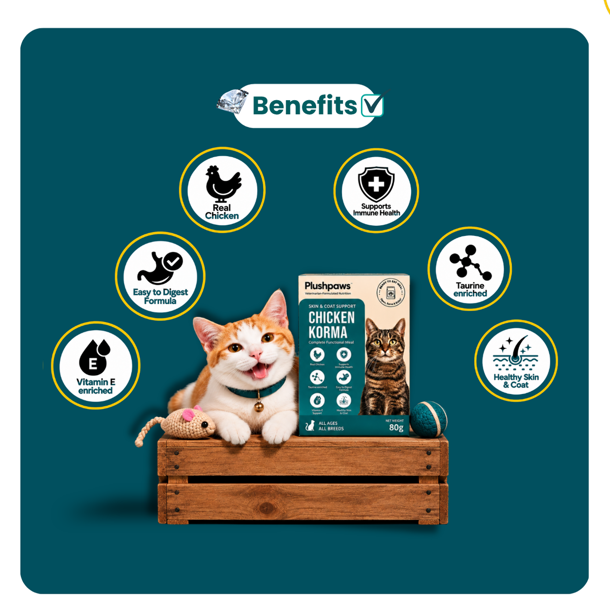 PLUSHPAWS CHICKEN KORMA SKIN & COAT WET CAT FOOD [80 GM] - Animeal