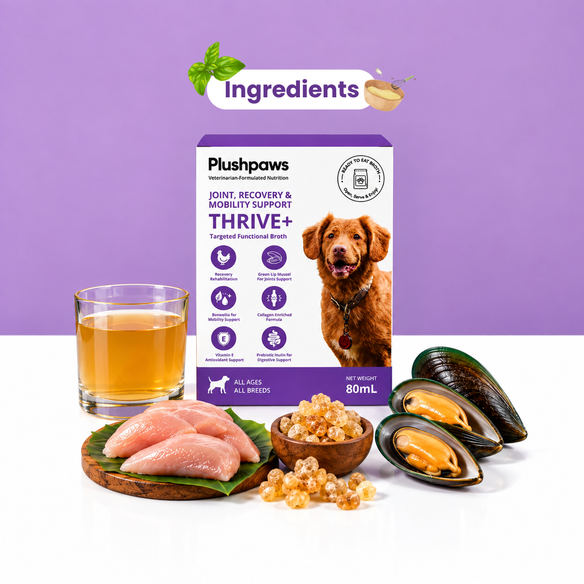 PLUSHPAWS THRIVE+ JOINT RECOVERY & MOBILITY BROTH FOR DOGS [80 ML] - Animeal