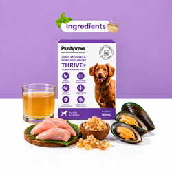 PLUSHPAWS THRIVE+ JOINT RECOVERY & MOBILITY BROTH FOR DOGS [80 ML] - Animeal