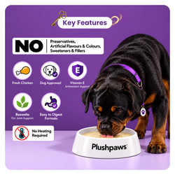 PLUSHPAWS THRIVE+ JOINT RECOVERY & MOBILITY BROTH FOR DOGS [80 ML] - Animeal