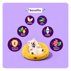 PLUSHPAWS THRIVE+ JOINT RECOVERY & MOBILITY BROTH FOR DOGS [80 ML] - Animeal