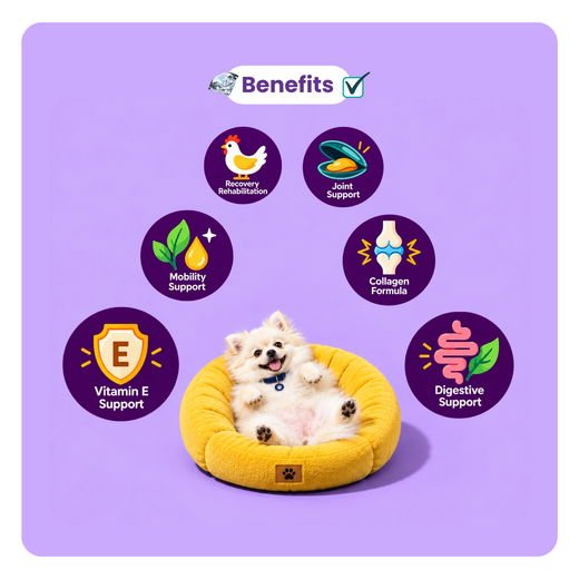 Animeal