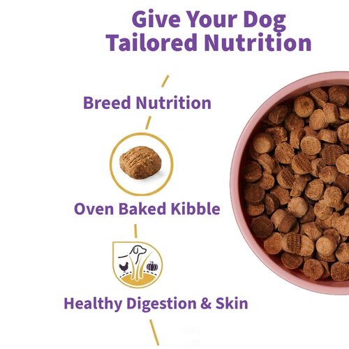POOFFY CHICKEN PUMPKIN OATS OVEN BAKED DOG FOOD 1 KG - Animeal