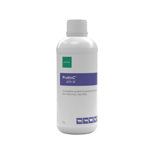 PROTINC SYRUP (S) - Animeal