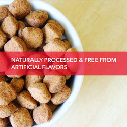 PUREPET DOG ADULT MEAT & RICE DRY FOOD (XL) - Animeal