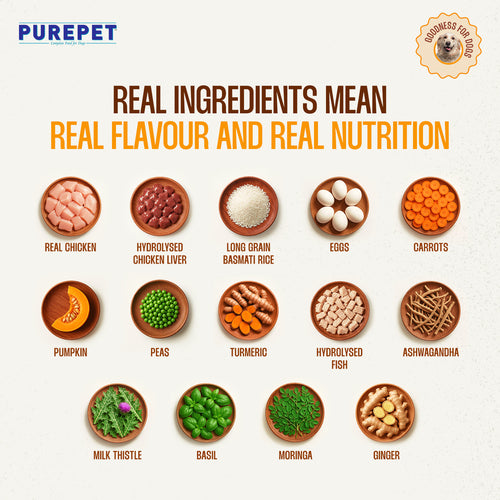 PUREPET DOG CHIC BIRYANI - Animeal