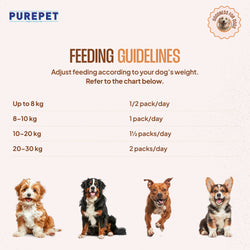PUREPET DOG CHIC & PUMP BIRYANI - Animeal