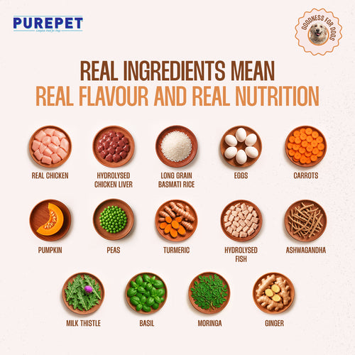 PUREPET DOG CHIC & PUMP BIRYANI - Animeal