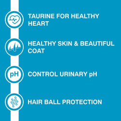 PUREPET KITTEN OCEAN FISH DRY FOOD (M) - Animeal