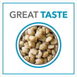 PUREPET KITTEN OCEAN FISH DRY FOOD (M) - Animeal