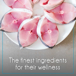 PUREPET KITTEN OCEAN FISH DRY FOOD (M) - Animeal