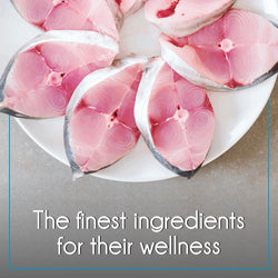 PUREPET OCEAN FISH CAT DRY FOOD (L) - Animeal