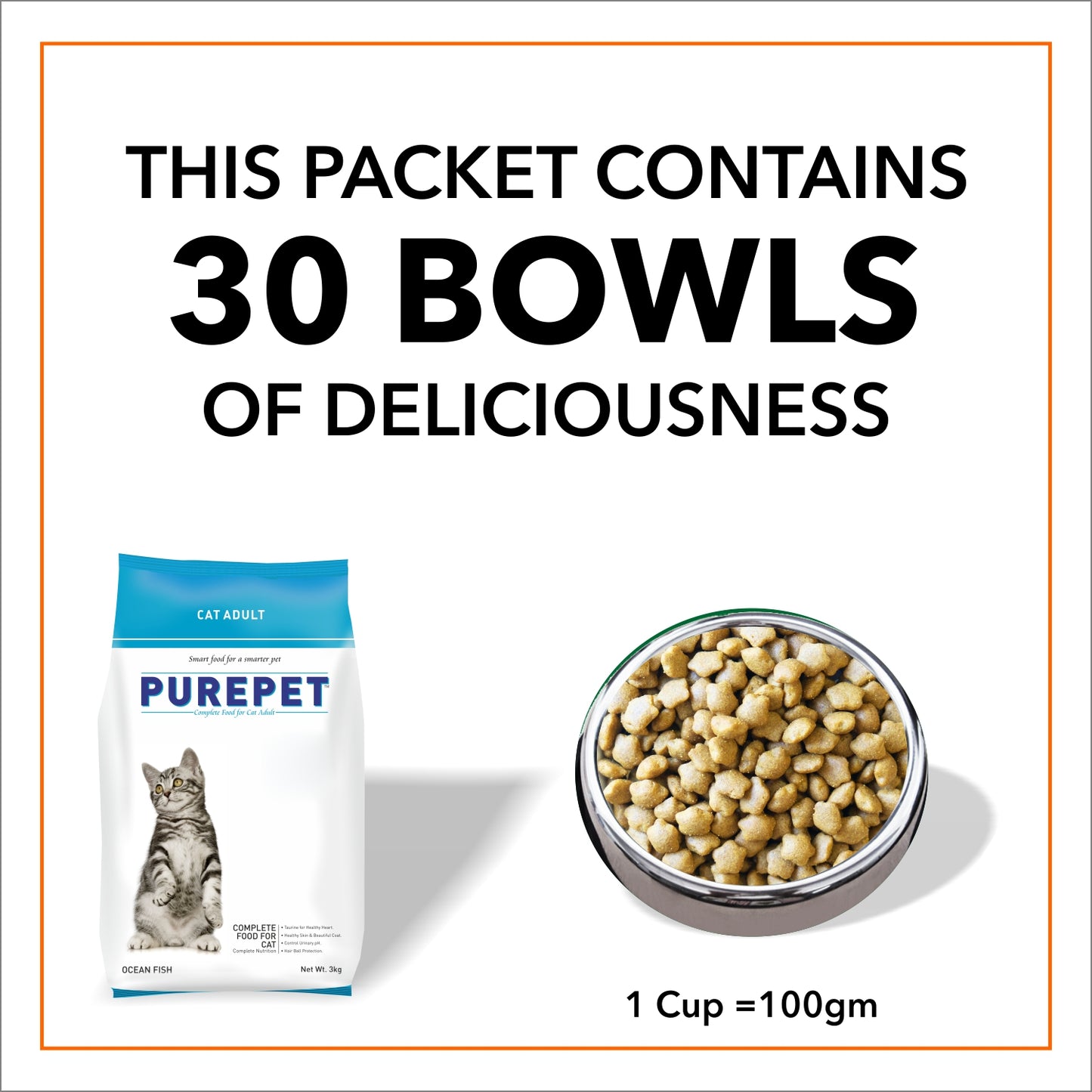 PUREPET OCEAN FISH CAT DRY FOOD (L) - Animeal