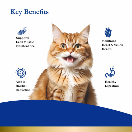 PUREPET PEAK ADULT MACKEREL DRY FOOD (S) - Animeal