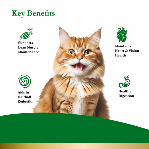 PUREPET PEAK ADULT TUNA & SALMON DRY FOOD (S) - Animeal