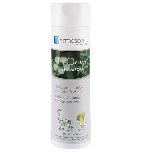 PYO Clean Shampoo - Animeal