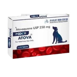 Panav Bio-Tech Pooch Atova Tablet for Dogs and Cats, 10 Tablets - Animeal