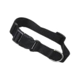 Pets Pot Premium Collar for Dogs, 12mm width (XS)
