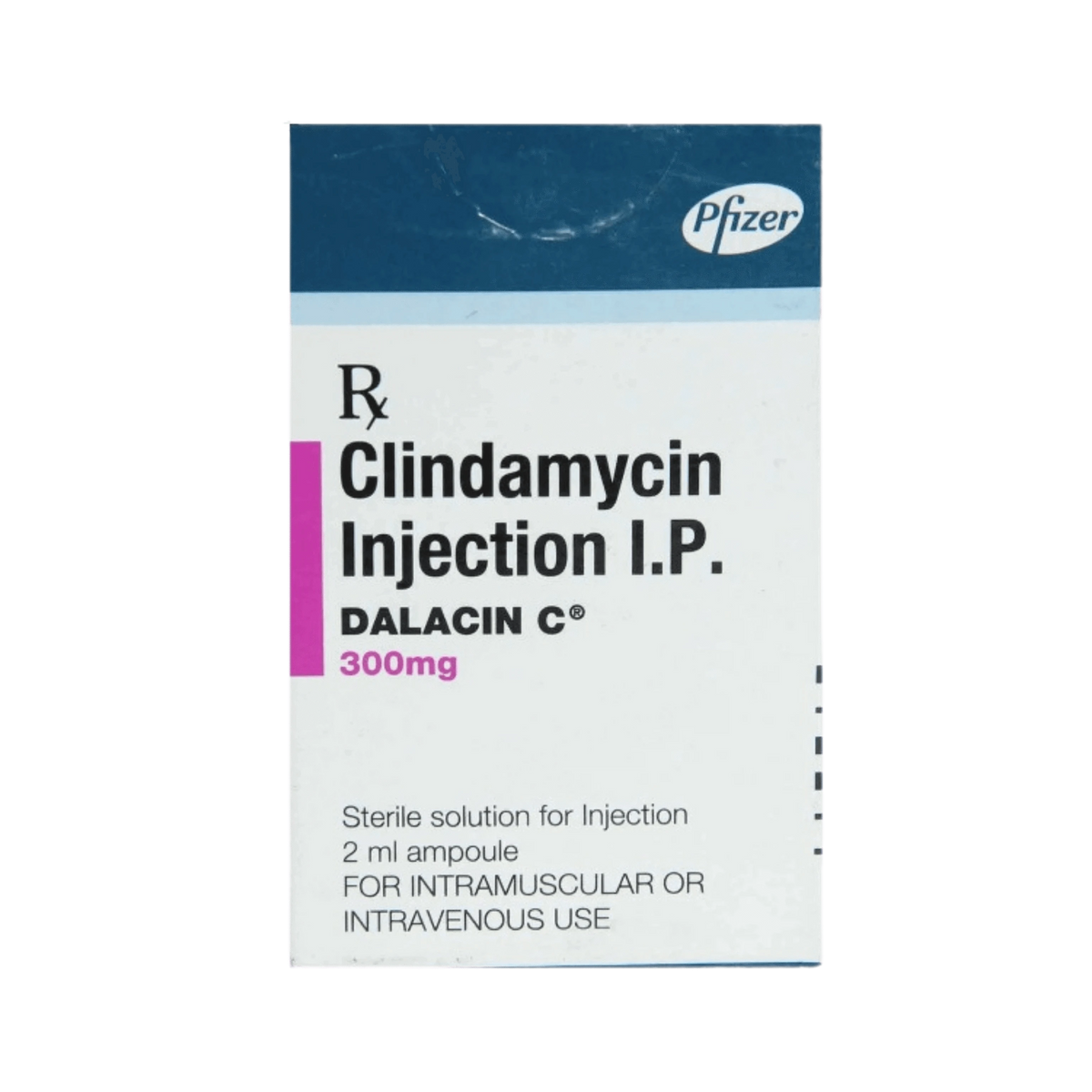 Pfizer Dalacin C 300mg Injection for Dogs and Cats, 2ml - Animeal