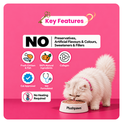 Plushpaws Fish Biryani With Collagen Wet Dog Food, 300g - Animeal